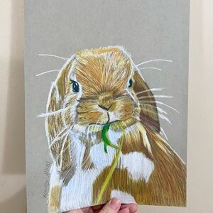 Original Art Bunny Rabbit Colored Pencil Drawing Size 9”x12”